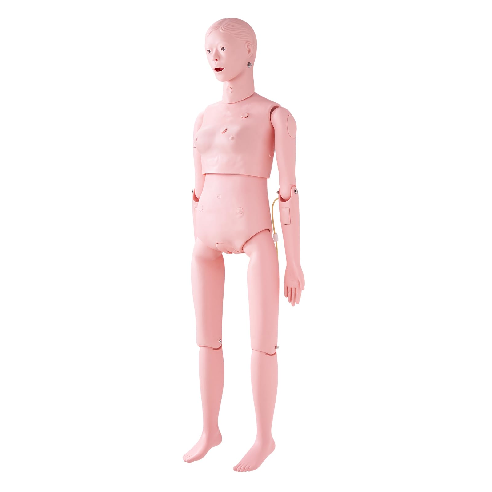 VEVOR Maniquí de Enfermería Femenino Maniquí de Cuidado del Paciente Alto de 153 cm PVC Maniquí de Entrenamiento de Enfermera Simulación Realista para Enseñanza Formación Médica de Hospital Instituto