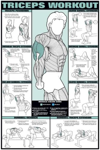 ALGRA Triceps Workout 24" X 36" Laminated Chart