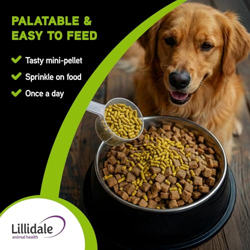 Lillidale ProJoint 500g - Joint Supplement for Dogs with Glucosamine and Chondroitin - Premium Anti-Inflammatory Support - Mobility - Hip & Joints - Soothes Stiffness - Dog Joint Supplement - Image 6