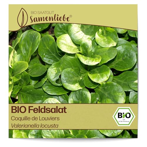 Samenliebe BIO Feldsalat Samen Coquille de Louviers nussiger Winterfeldsalat knackiger Salat grün 1,5g samenfestes Gemüse Saatgut für Gewächshaus Freiland und Balkon BIO Gemüsesamen winterhart
