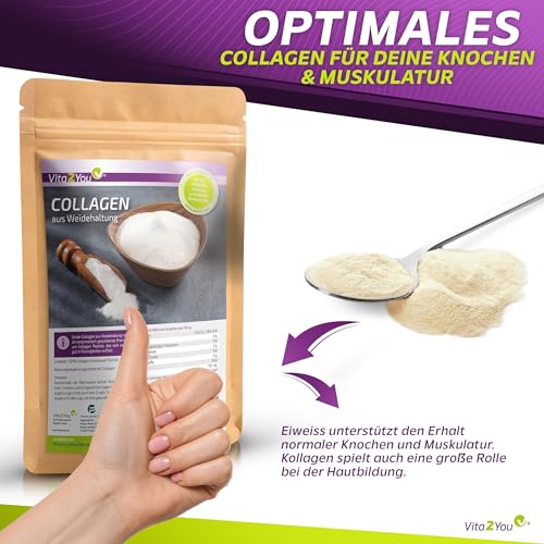 Vita2You Collagen Pulver 1kg - Bioaktives Kollagen - 100% CollaSel Pro® - aus Weidehaltung und Grasfütterung - Hydrolysat Peptide Typ 1 und 3 - Eiweiss -1000g - Premium Qualität