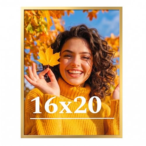 Veleclo 16x20 Picture Frame for Wall Display 16x20 Gold Picture Frame with Shatter Resistant Plexiglass Stable and Sturdy 16 x 20 Poster Frame for Wall Display Handpicked Gift Collection 1 Pack