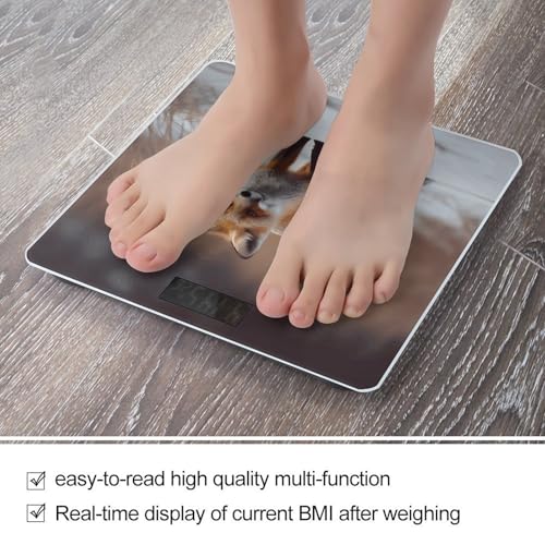 Báscula digital para baño con vidrio templado 400 lb miniatura 5