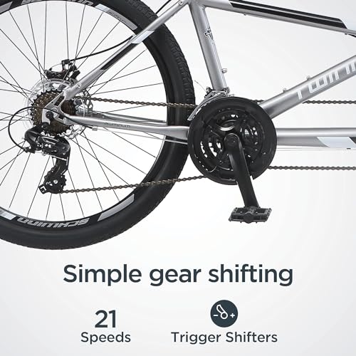 Image of Schwinn Twinn