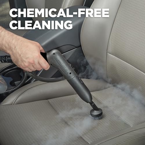 Image of Wagner Spraytech 905e Auto Steam Cleaner, 12 Accessories for Cars