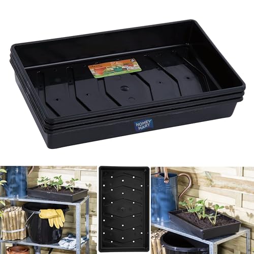 Seed Trays with Drainage Holes | 38 x 23 x 6 cm Full Size Traditional Plastic Eden Seed Trays Black | Heavy Duty Stackable Garden Propagation Trays for Seeds Cuttings & Seedlings - Pack of 3