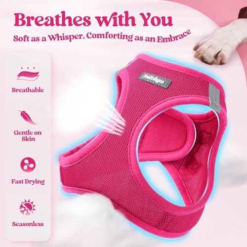 Image of rabbitgoo Dog Harness Medium Sized and Leash Set, Step-in Puppy Pet Vest