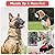 Dog Muzzle, Muzzle with Head Strap and Adjustable Loop, Soft Pad Dog Training Muzzle Prevent for Barking Biting and Chewing Suitable for Large Medium and Small Dogs (M)