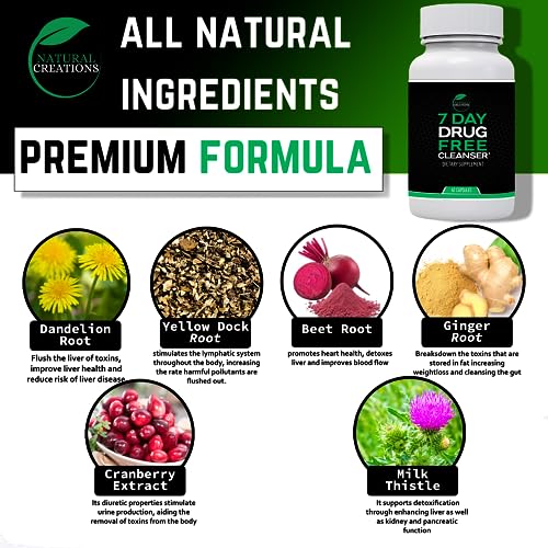 Natural Creations 7 Day Detox – Natural, Healthy Cleansing Support for Liver, Urinary Tract, Kidney, Digestive System – Premium Detox Supplement - Made in United States - 42 Capsules - Image 4