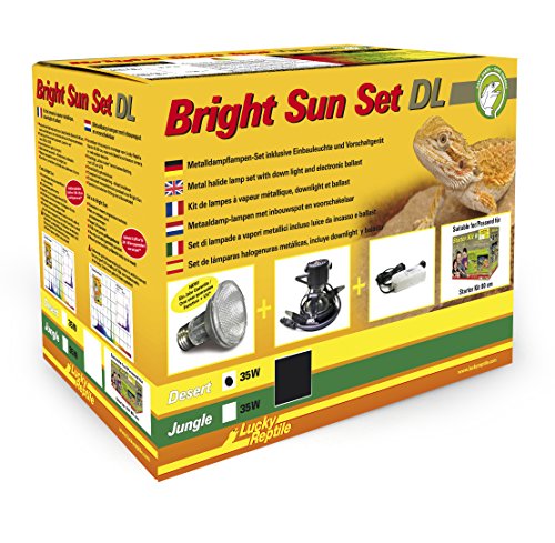 Lucky Reptile Bright Sun Set DL Desert - Lampe à Vapeur métallique 35 W avec Lampe encastrée & Ballast - pour Reptiles & terranium avec Spectre Lumineux...