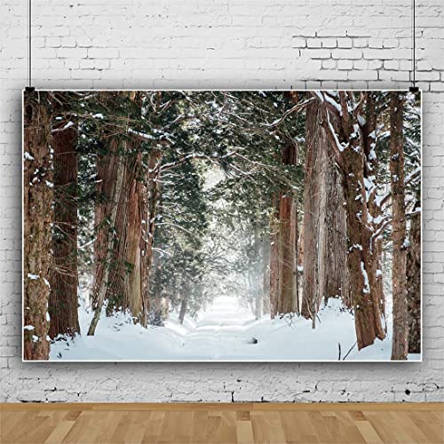 Fondo Fotográfico 10x8ft Tema Invierno Yeele miniatura 3
