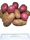 Potatoes Fresh Idaho Russet and Red Produce Bundle
