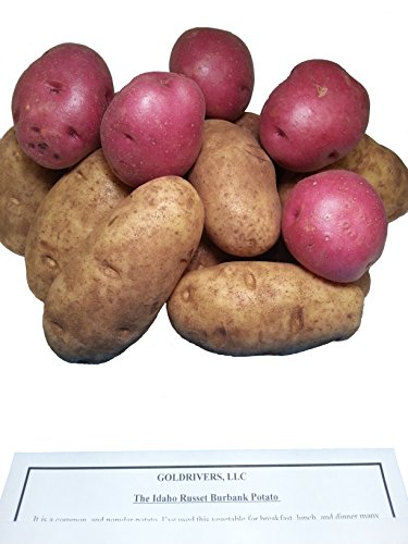 Potatoes Fresh Idaho Russet and Red Produce Bundle
