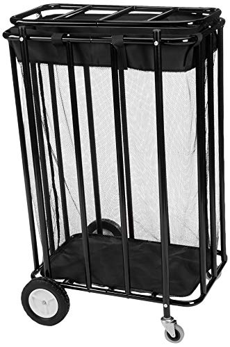 BSN Compact Ball Locker