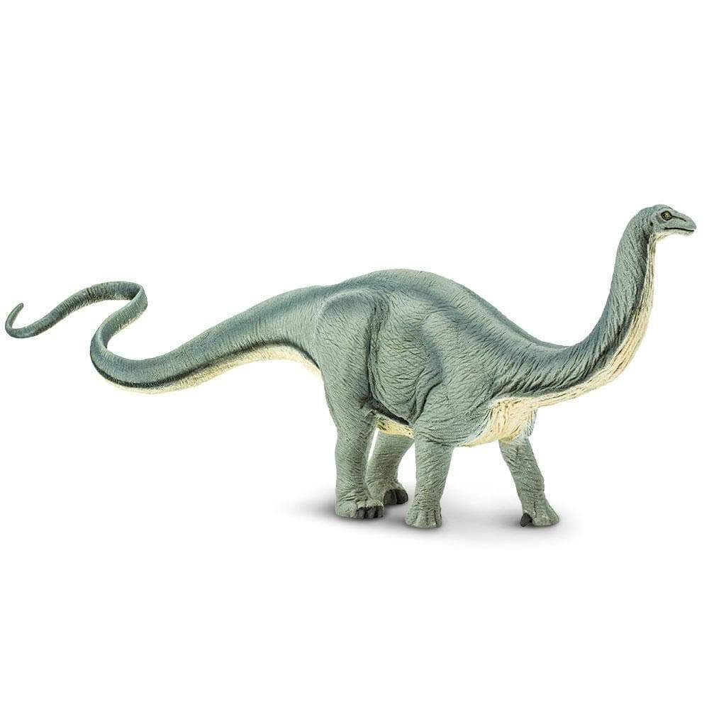 Apatosaurus Toy - 13 Inch Realistic Dinosaur Figure for Kids | 13 Inches Long x 5 Inches High, Ages 3+, Safety Tested, BPA Free PVC, Dinosaur Play, Classroom Projects, Dioramas