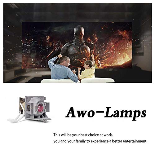 AWO Original Projector Lamp Bulb 5J.JEE05.001 with Housing for BenQ HT2050,HT2150ST,HT3050,W1110,W1120,W1210ST,W2000,W2000+ Projector
