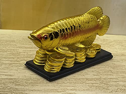 Image of Fengshui Exclusive Medium Size Polyresin Golden Arowana Fish Showpiece for Office Decor, Home Decoration (AF-2559)
