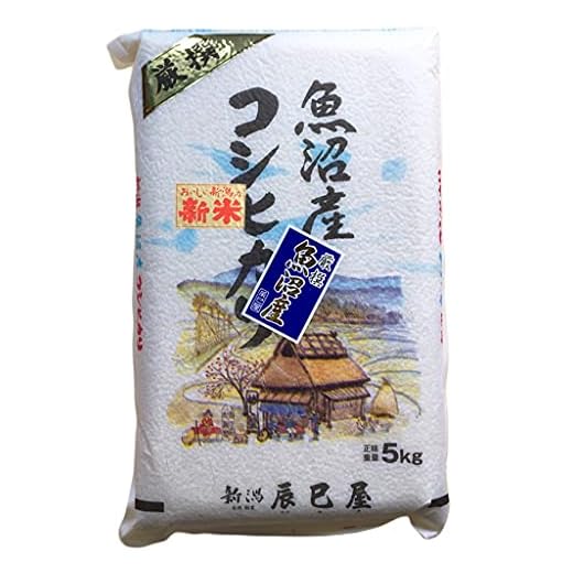 精米 北魚沼産 (旧広瀬・守門村) コシヒカリ 5kg 白米 新潟辰巳屋 令和6年産