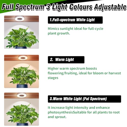 LED-Pflanzenlichtstreifen, CUPAN Vollspektrum-Wachstumslichter für Zimmerpflanzen mit Auto ON & Off Timer, 10 dimmbare Stufen, 144 LEDs Pflanzenwachstumslampen 3er Pack 9 LED-Pflanzenlichtstreifen, CUPAN Vollspektrum-Wachstumslichter für Zimmerpflanzen mit Auto ON & Off Timer, 10 dimmbare Stufen, 144 LEDs Pflanzenwachstumslampen 3er Pack – Bild 9