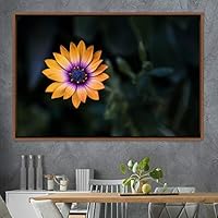 Framed Canvas Wall Art Flora Snapshot Closeup Dark Expressive Farmhouse/Country Floral Multicolor Photography Realism Single - 16x24 inches
