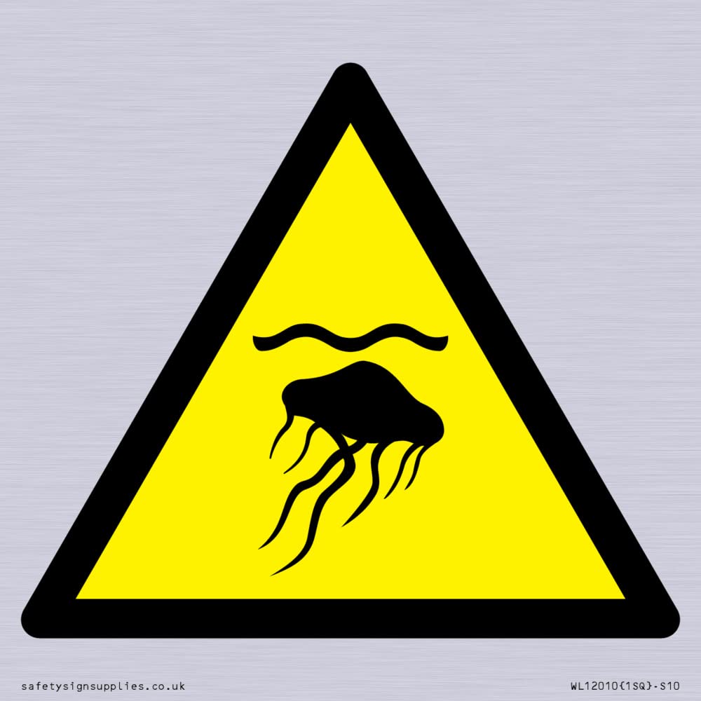W069 Warning: Jellyfish Sign - 100x100mm - S10
