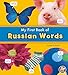 My First Book of Russian Words (Bilingual Picture Dictionaries) (English and Russian Edition)