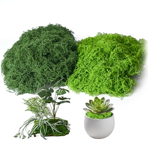 Blisgroo Fake Moss for Plants Indoor 7OZ Dual-Color Artificial Moss for Crafts Realistic Faux Moss for Terrariums Fairy Gardens Potted Plants DIY Home Decor Glass Jars Light & Dark Green200g