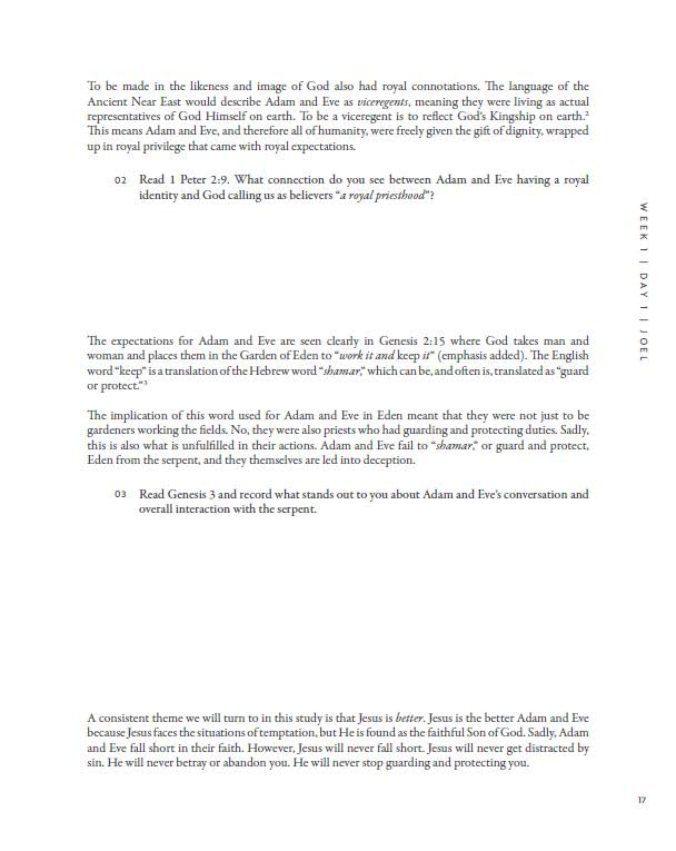 30 Days with Jesus Bible Study Guide: Experiencing His Presence throughout the Old and New Testaments - Image 8