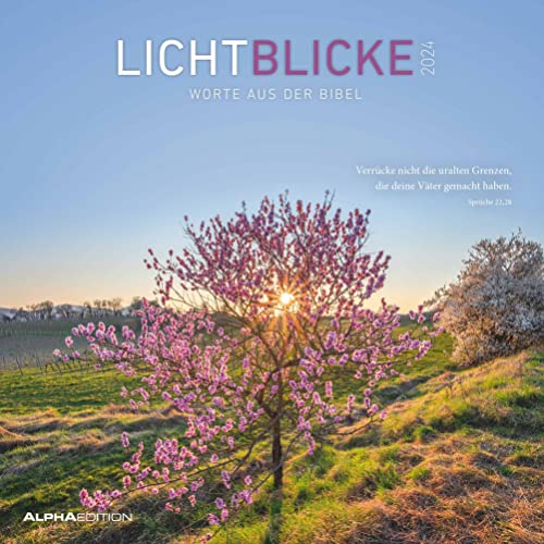 Lichtblicke 2024 - Brochure Calendar 30 x 30 cm (30 x 60 cm Open) - Calendar with Space for Notes - Includes Poster - Bible Quotes - Picture Calendar - Wall Calendar: Words from the Bible