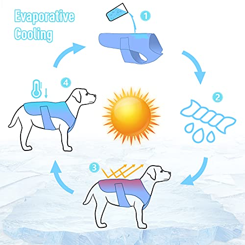 POPETPOP Dog Cooling Vest, Lightweight Cooler Jacket, Pet Vest Harness for for Small Medium Dogs(Size), As Shown - Image 3