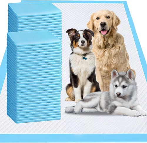 Image of Patch & Marshall Pet Training Pads with Adhesive Floor Tape,Heavy Duty,Rapid Dry & Absorbent Core, Suitable for Puppies,Small,Medium,Large Dogs (XXL - 90 x 90 cm -20pcs)