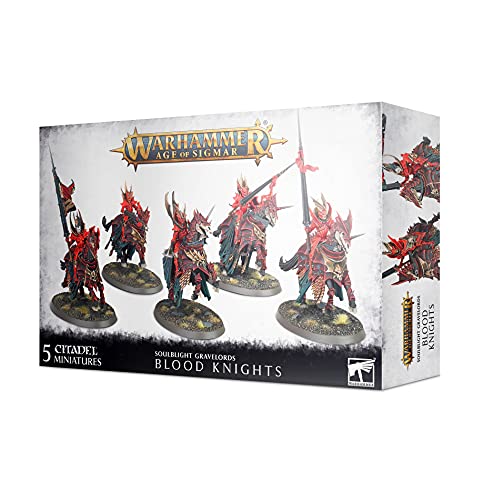 Warhammer AoS - Soulblight Gravelords Blood Knights