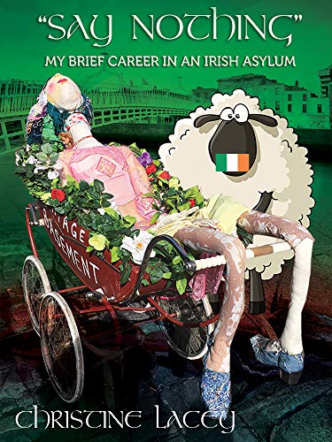 "Say Nothing": My Brief Career in an Irish Asylum
