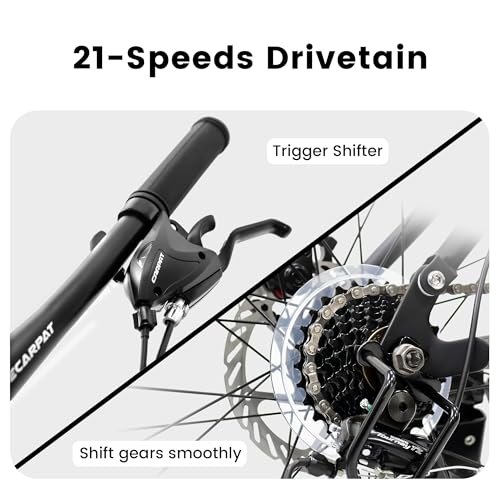 richvelo 26