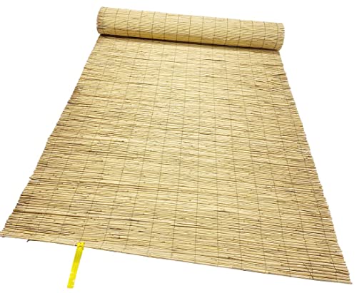 bambus-discount.com Schilfrohrmatte bambussi 100x500cm mit grünem Draht verwebt - Niedrige Sichtschutz Schilfmatte 1m x 5m