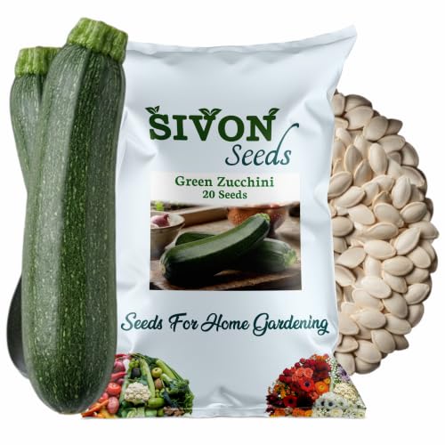 Image of SIVON Green Zucchini (Hari Zukini) (20 Seeds) Vegetable Seeds for Home Garden, Organic & Hybrid, Perfect for Home Gardening, Planting For Pots and Patio