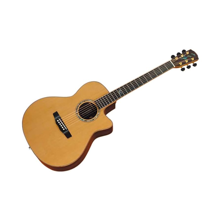 レア 名機 美音 Morris S-102-Ⅲ モーリス　アコースティックギター S-102 III | HAND MADE PREMIUM | MORRIS GUITARS モーリスギター