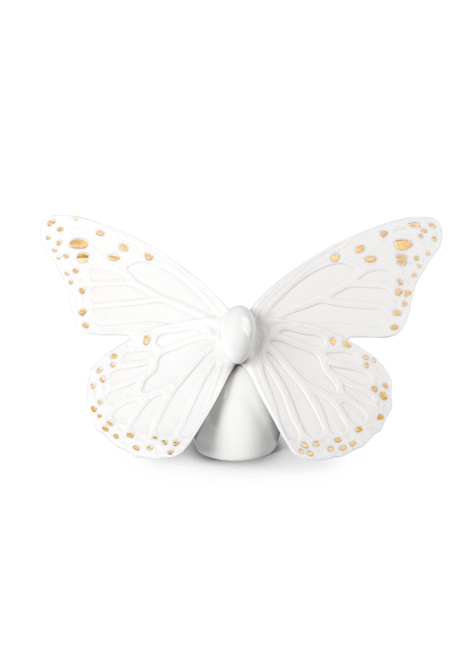 ATELIER FERRARO - plateaux à bijoux papillon, série limitée