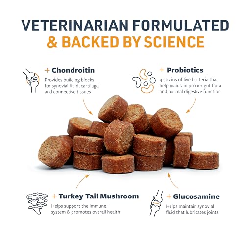 Image of Veterinary Formula Senior Support Joint Supplement for Dogs - Soft Chews, 100ct - Support Healthy Joints, Skin, Gut, and Immunity with Glucosamine for Dogs