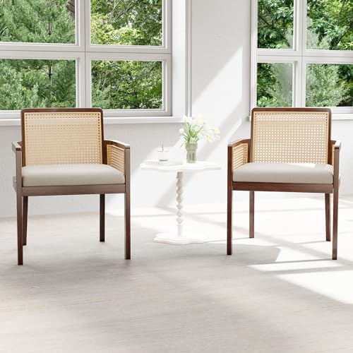 Audumas Mid Century Modern Accent Chair Set of 2, Reading Arm Chair with Solid Wood Legs, Rattan...