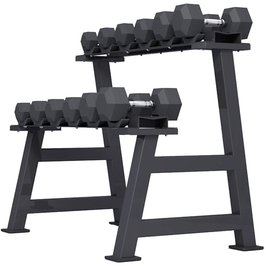 Rastrelliera Manubri Set Manubri con Supporto, Porta Manubri A 2 Strati, Rack di Stoccaggio Pesi Domestici, Staffa Compatta per Manubri, Facile da Installare, Portante 200 kg