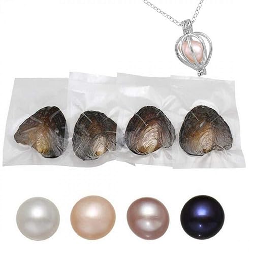 Freshwater Pearl Oyster Cultured Love Wish Round Pearls Various Shining