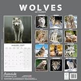 Avonside Wilki 2027 Kalendarz z Naklejkami Organizacyjnymi, 16-Miesięczny Kwadratowy Kalendarz Ścienny (wrz 2026 - gru 2027), Planer, 29,5 x 29,5 cm