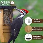 Nature's Way Bird Product CWF1 Cedar Suet Cake Feeder, 14 by 7.875 by 3-Inch
