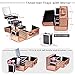 Joligrace Makeup Train Case Cosmetic Box 10 Inches Jewelry Organizer Professional 3 Tiers Trays with Mirror and Brush Holder Lockable Key Portable Travel - Rose Gold