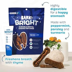 Bark-Bright-Durable-Dental-Chews-Kit-Dog-Tooth-Brushing-Treatment-with-Teeth-Cleaning-Chew-Sticks-Toothpaste-Plaque-Tartar-Remover-for-Cleaner-Teeth-Fresh-Breath-Large-Breeds-15-Chews - Cucciolini Doodles   Bark-Bright-Durable-Dental-Chews-Kit-Dog-Tooth-Brushing-Treatment-with-Teeth-Cleaning-Chew-Sticks-Toothpaste-Plaque-Tartar-Remover-for-Cleaner-Teeth-Fresh-Breath-Large-Breeds-15-Chews