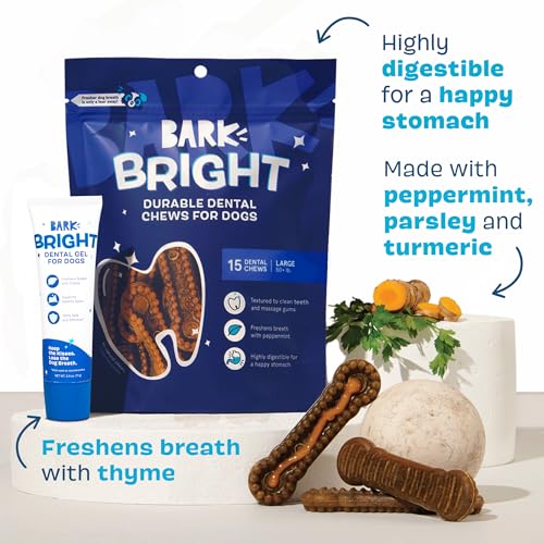 Bark-Bright-Durable-Dental-Chews-Kit-Dog-Tooth-Brushing-Treatment-with-Teeth-Cleaning-Chew-Sticks-Toothpaste-Plaque-Tartar-Remover-for-Cleaner-Teeth-Fresh-Breath-Large-Breeds-15-Chews - Cucciolini Doodles   Bark-Bright-Durable-Dental-Chews-Kit-Dog-Tooth-Brushing-Treatment-with-Teeth-Cleaning-Chew-Sticks-Toothpaste-Plaque-Tartar-Remover-for-Cleaner-Teeth-Fresh-Breath-Large-Breeds-15-Chews