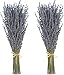 2 Stück Trockenblumen,Getrockneter Lavendel ca.40cm - Lavendelblüten aus der Provence Lavendelstrauß Lavendelbund Trockenblumen Boho Deko