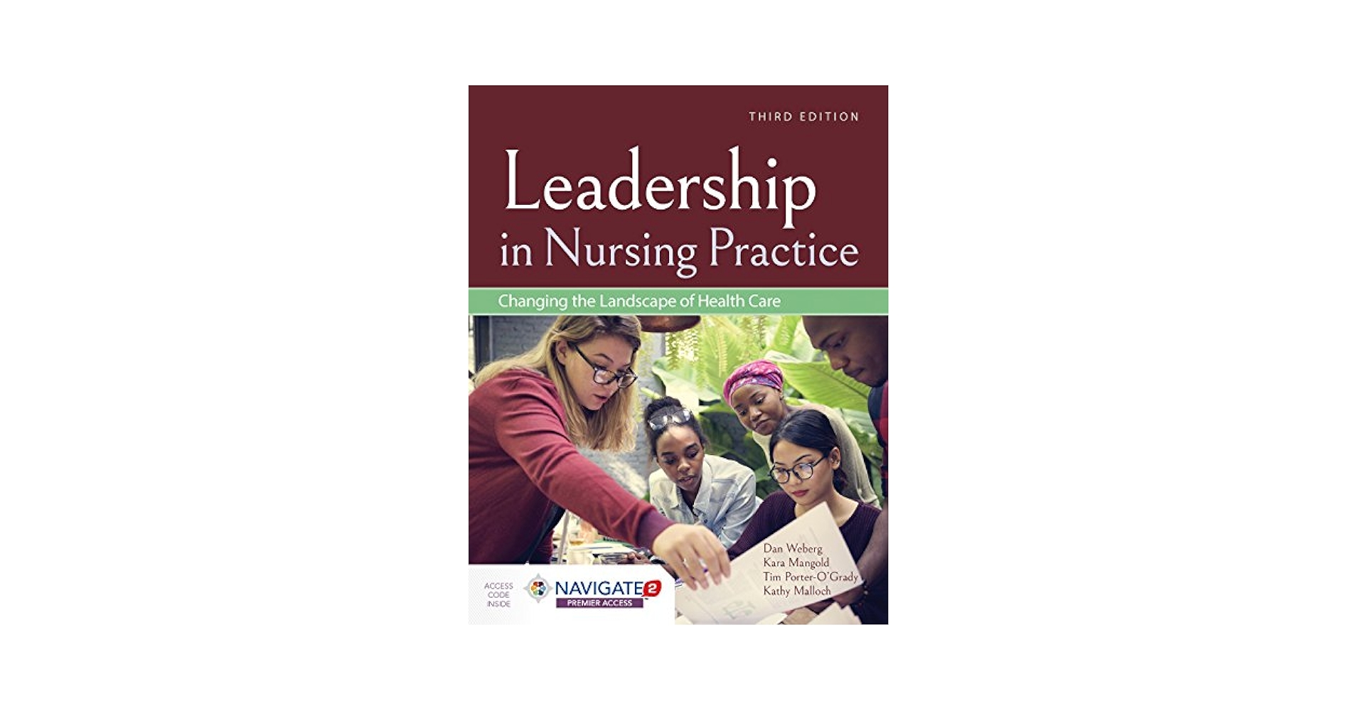 洋書 Expertise in Nursing Practice/Benner 91MsEsDLfeL._UF350,350_QL50_.jpg