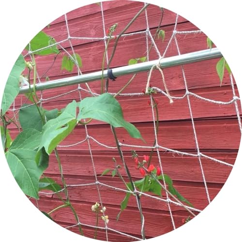 Jute Netting Pea and Bean Biodegradable String Netting (Natural 2m x 5m Natural)